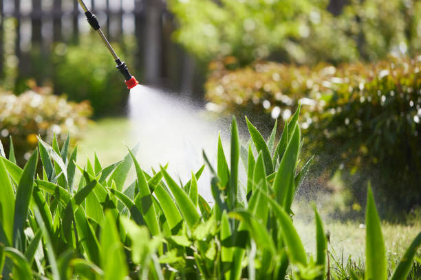 24/7 Emergency Mosquito Control experts in Keizer, OR