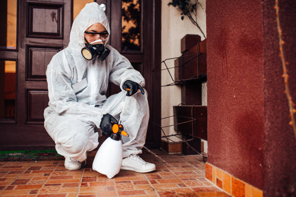 Reliable Mosquito Control contractor in Keizer, OR by Show Me Pest Control